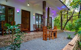 Nature Lotus Villa